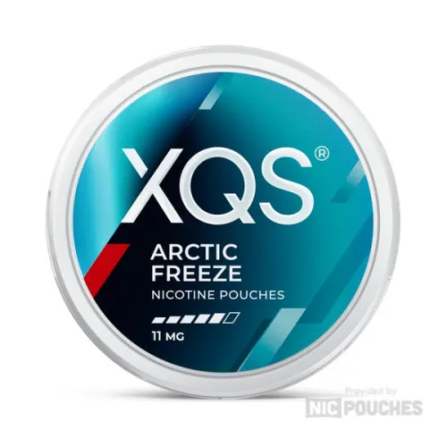 XQS Arctic Freeze nicotine pouches tin